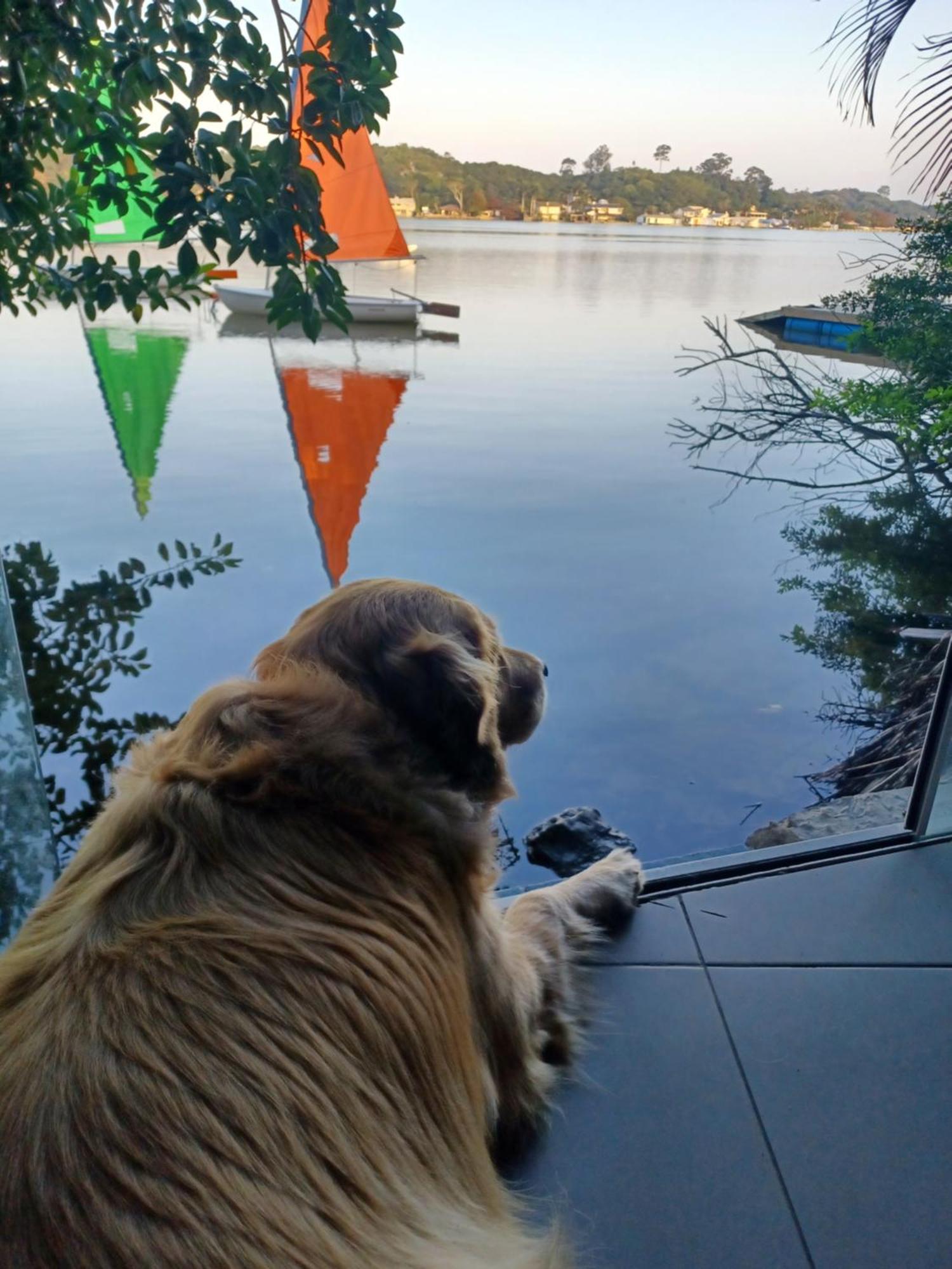 Lakehouse 24Hs Hostel Lagoa Conceicao ฟลอเรียนอโปลิส ภายนอก รูปภาพ